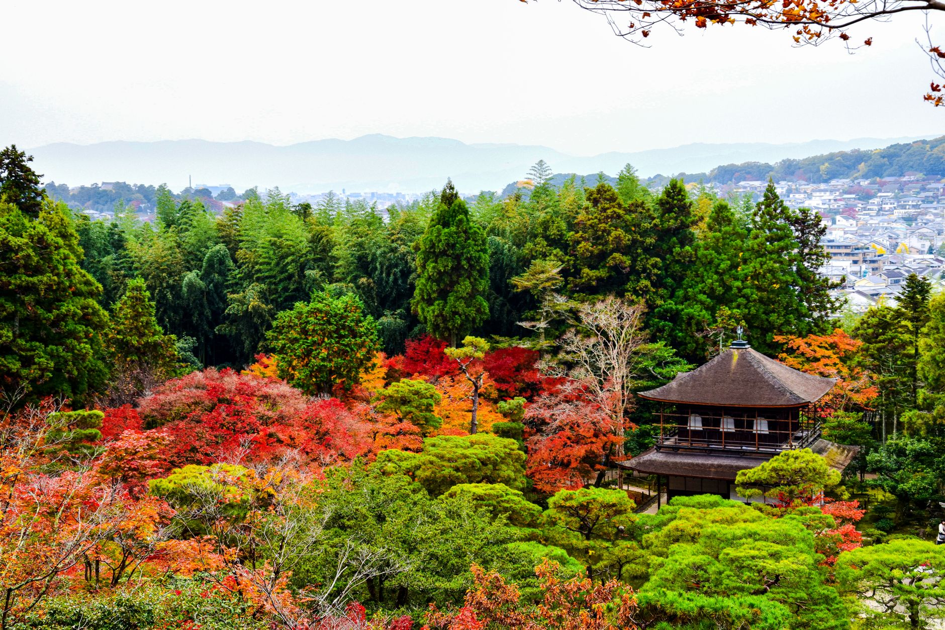 京都・古都の歴史と伝統美